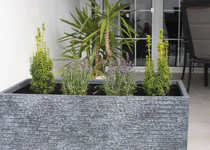 60 M² In Elsdorf-heppendorf * Elsdorf