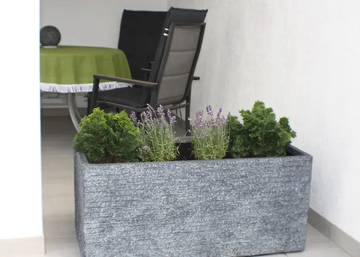 60 M² In Elsdorf-heppendorf 公寓 Elsdorf